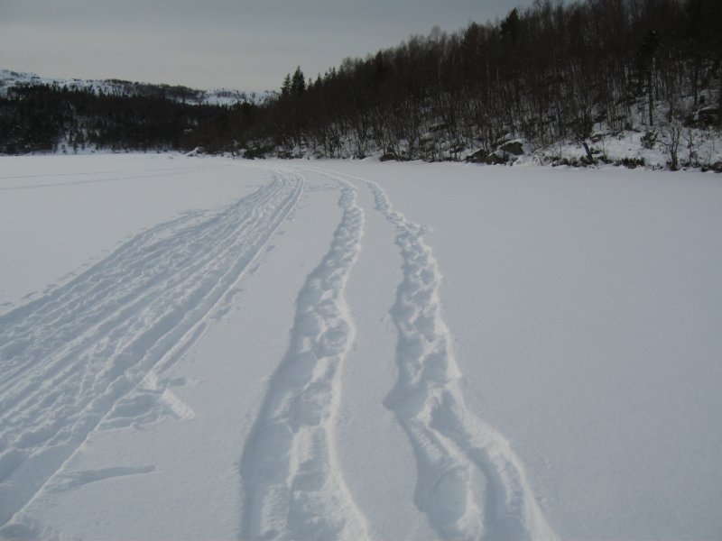 skisportrugespor.jpg