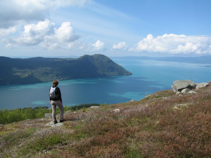 ombofjorden.jpg